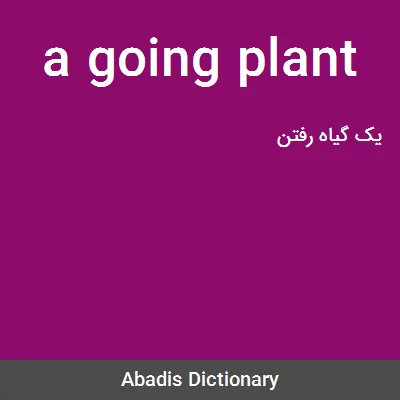 معنی a going plant